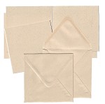 dubbele vierkante kaart 
plus envelop
landbouwafval papier